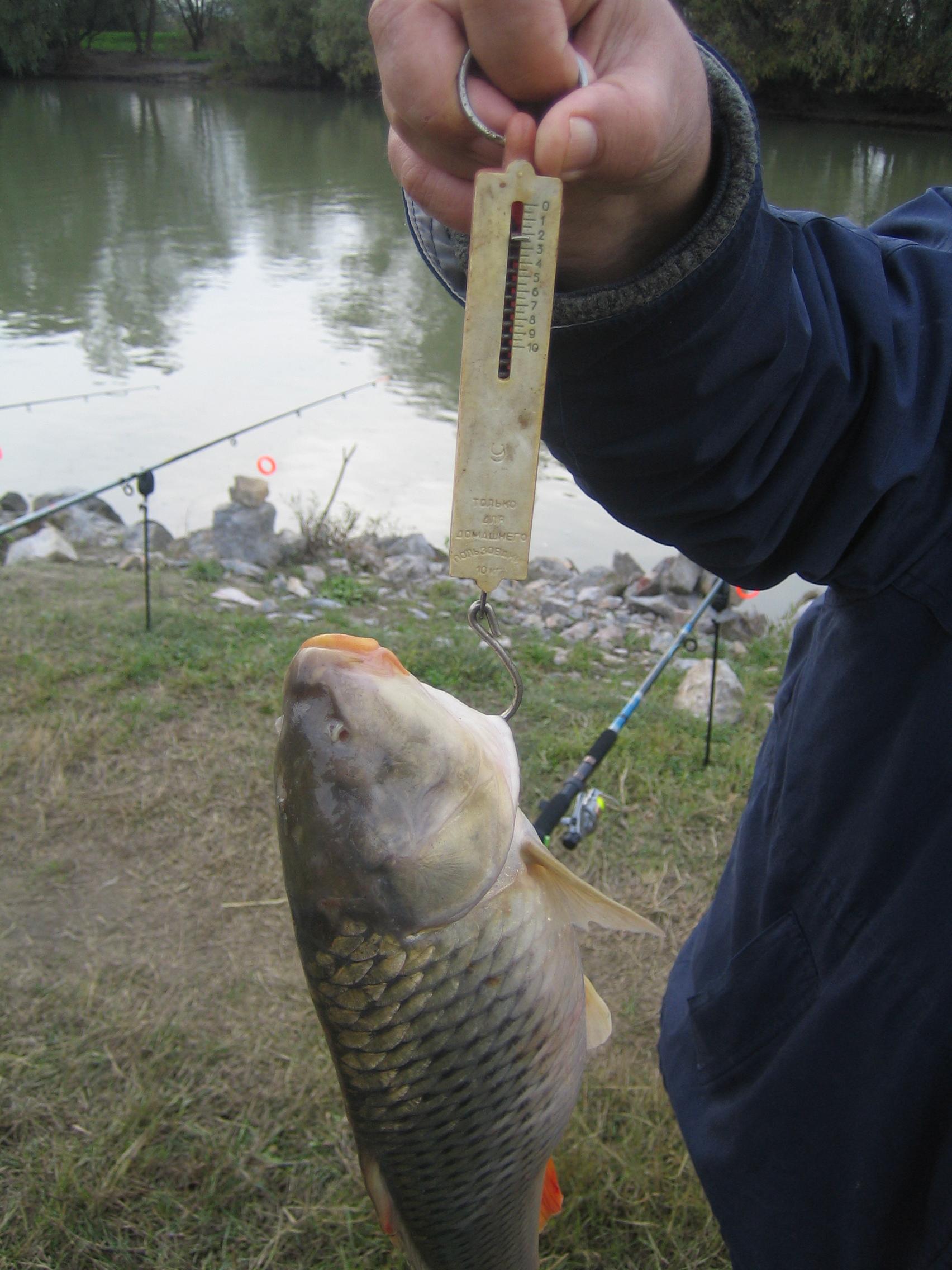 DELTA 2007-2012 - MUTATII GENETICE